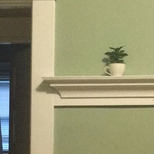 Meet your Posher, Annalies